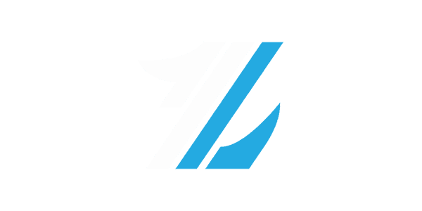 ভিزا কার্ড logo